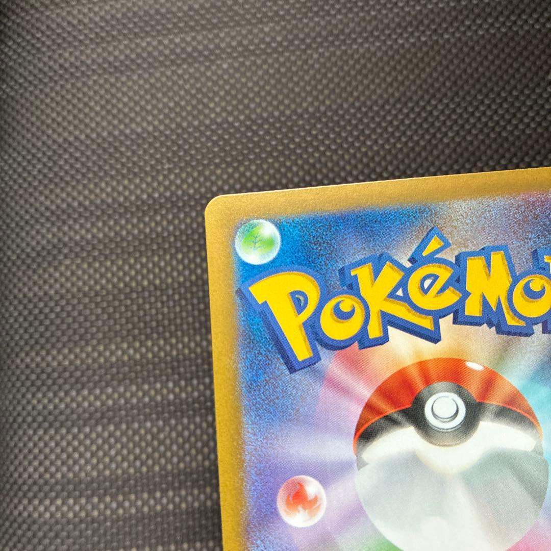 メイのはげまし　sar