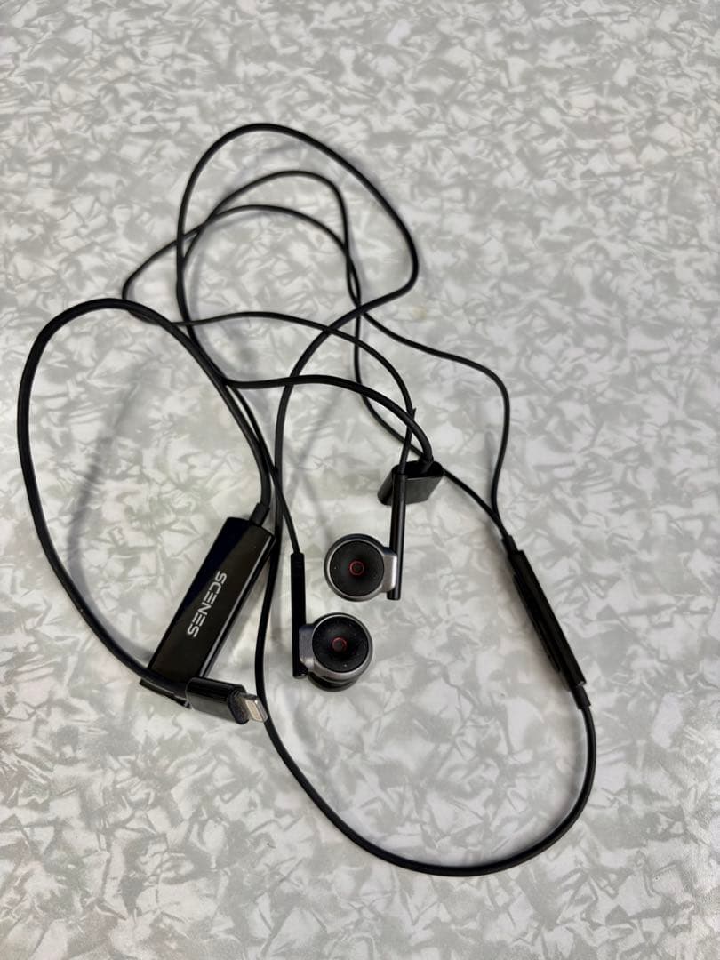 SCENES ASMR用バイノーラルマイク　　　　　別途RODE収納ケース付き