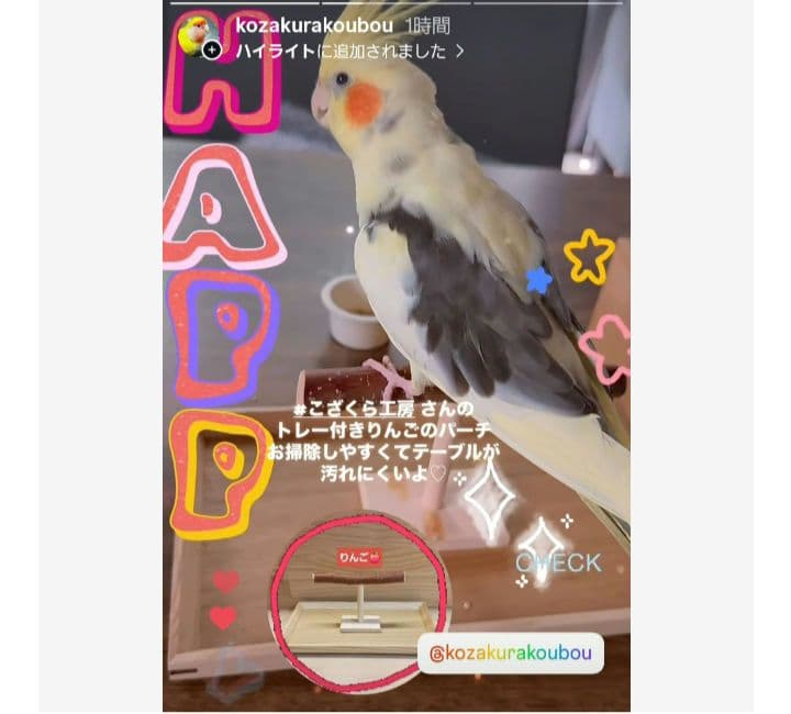 7　止まり木　Tパーチ　☆　スタンド　バードトイ