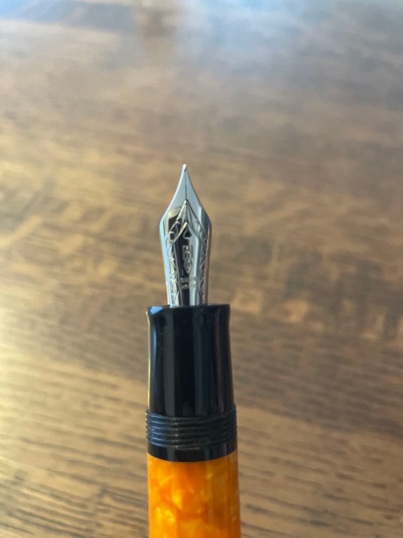 初期DELTA ドルチェビータミディアム万年筆