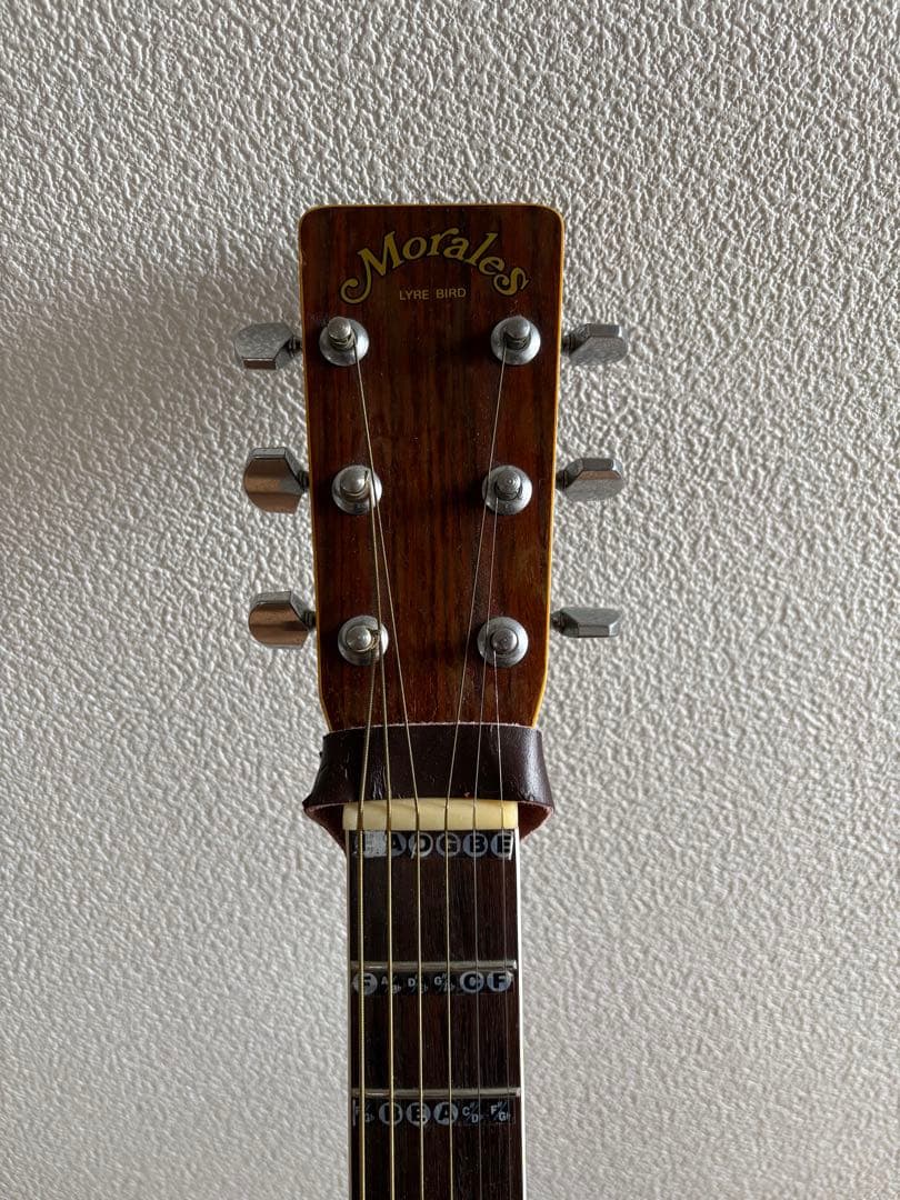 Morales M-180 アコースティックギター