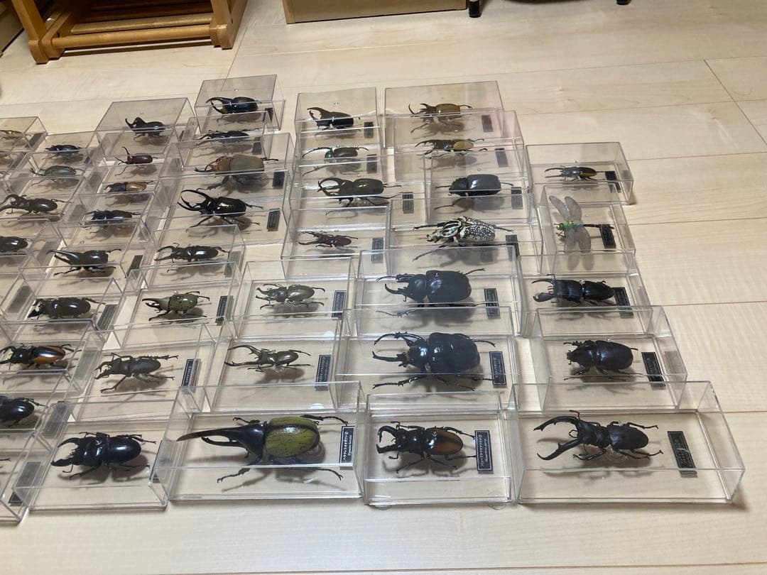 ディアゴスティーニ世界の昆虫全64種コンプリート　クワガタカブトムシ　フィギュア