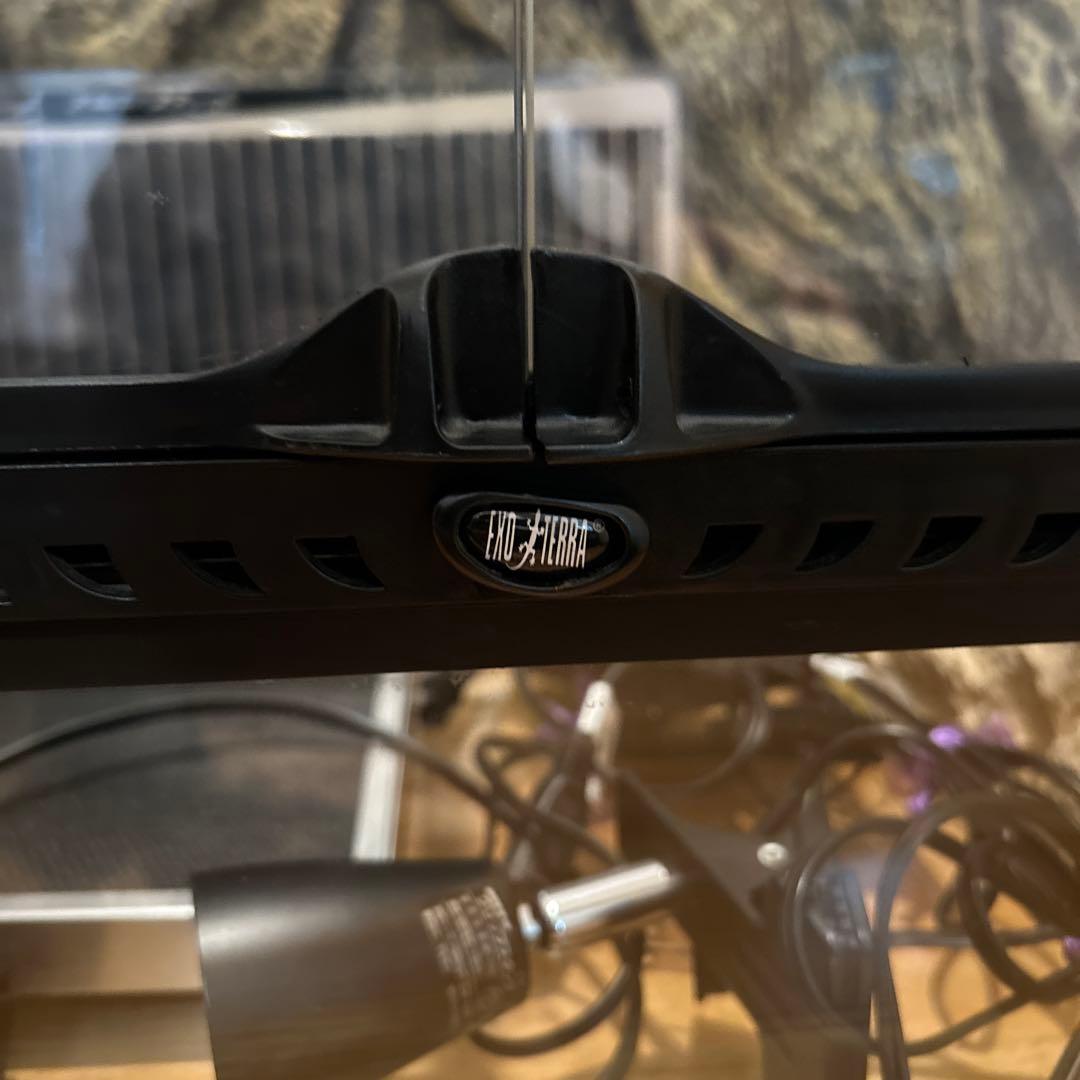 グラステラリウム 9045 爬虫類飼育ケージ　※配送不可、引き取り専用※