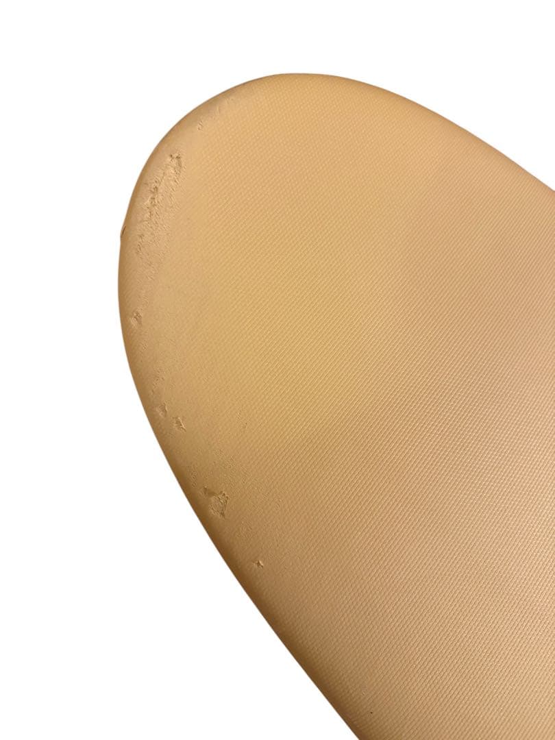 Beach Access ビーチアクセス ロング ソフトボード 8.0 73L