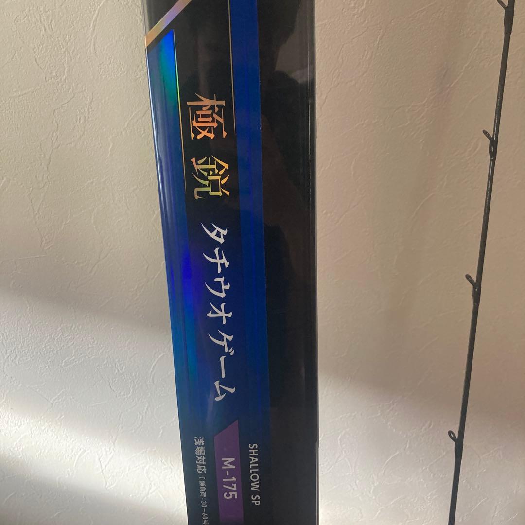 ダイワ　極鋭　タチウオゲームM175