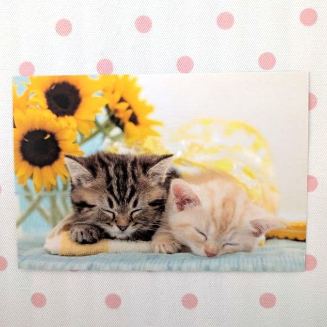 コレクション deen.like.live