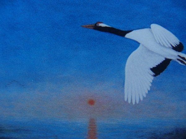 井出博也【曙の舞】希少画集画、状態良好、新品高級額装付