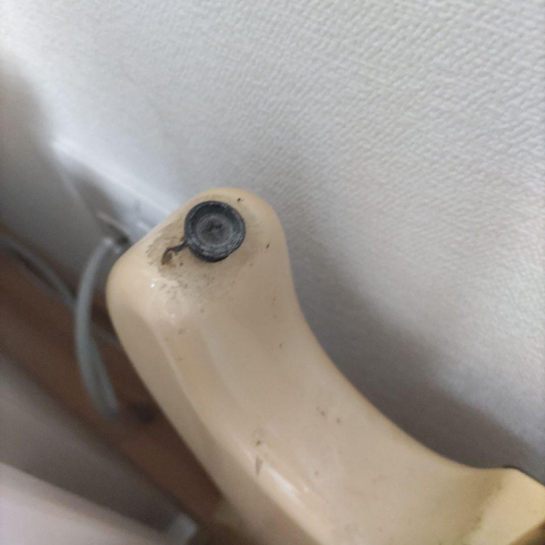 Bill Laurence Guitar　シャケモデル？