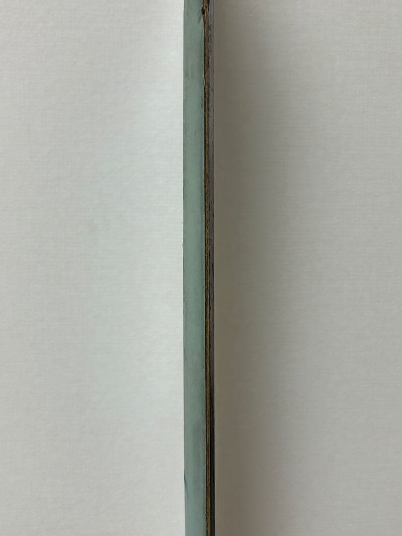 Forum Peter Lineフォーラムピーターラインスノボ板ソフトケース付き