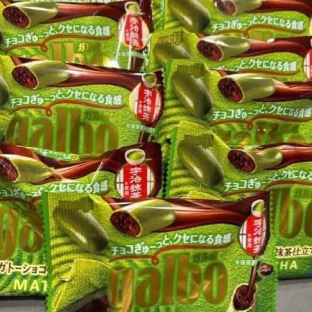 本日限定！ガルボ ガトーショコラ抹茶仕立て 明治 80袋