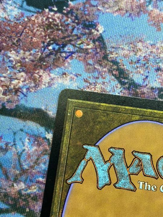 MTG タルモゴイフ　Tarmogoyf EN UBT   foil 美品