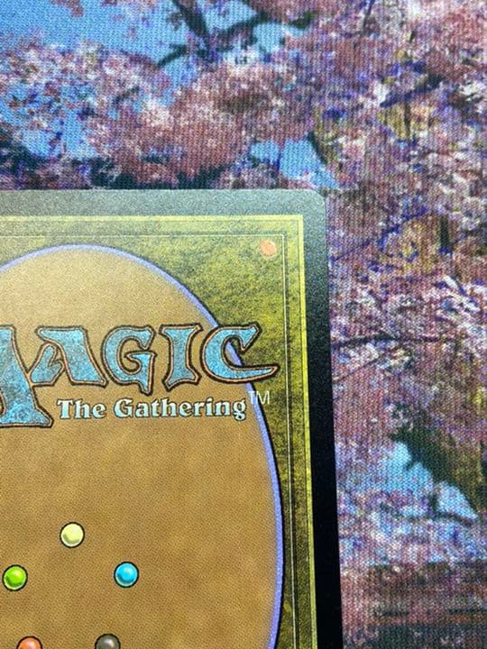 MTG タルモゴイフ　Tarmogoyf EN UBT   foil 美品