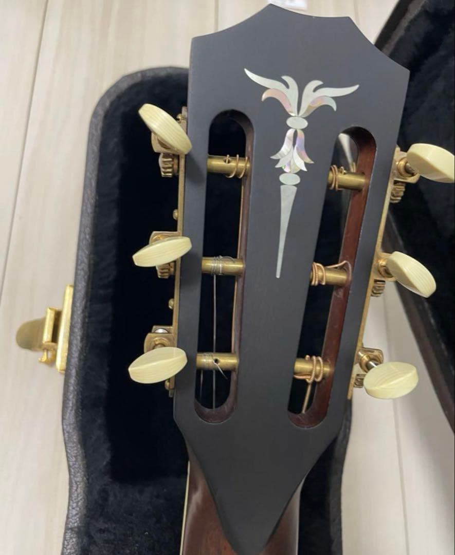 Taylor XXX-30thアニ hyde使用(極美品)