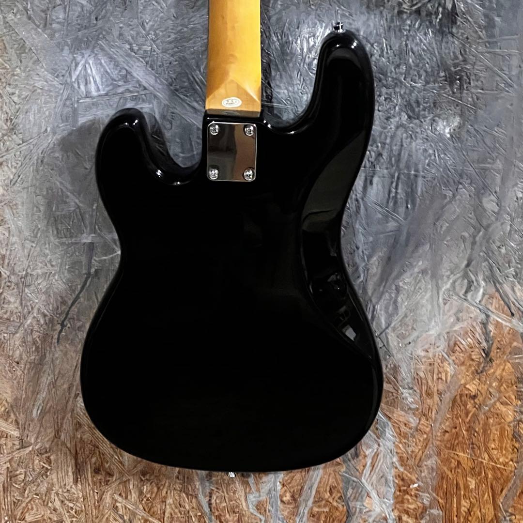 フォトジェニック プレシジョンベース ブラック 管AP