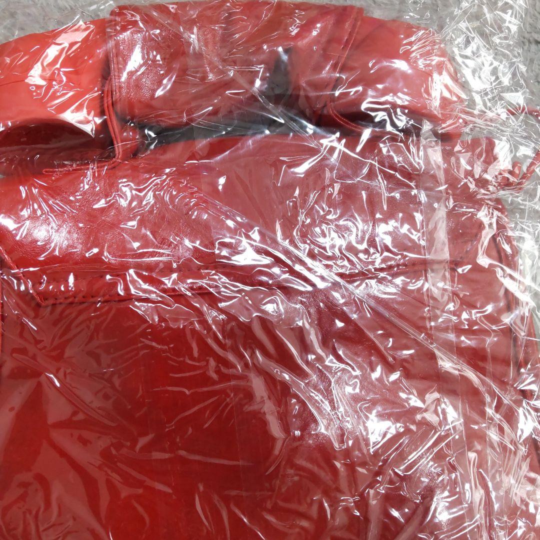 Lady Gaga デザインバッグ