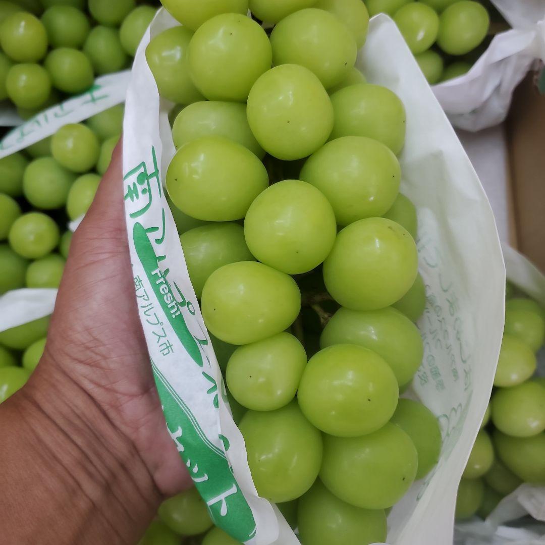 3️⃣ 山梨県産 シャインマスカット １０房入り 箱込み5.5キロ