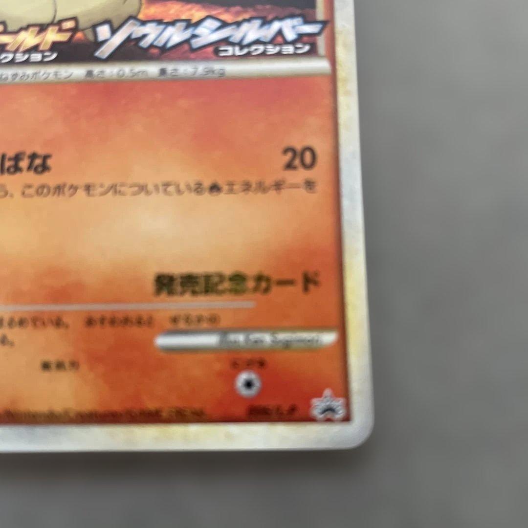 ポケモンカードゲーム　ヒノアラシ　ランダムプレゼントキャンペーン プロモカード