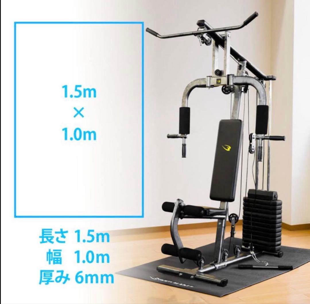 BODYMAKER GYM DX 家トレマシン 美品