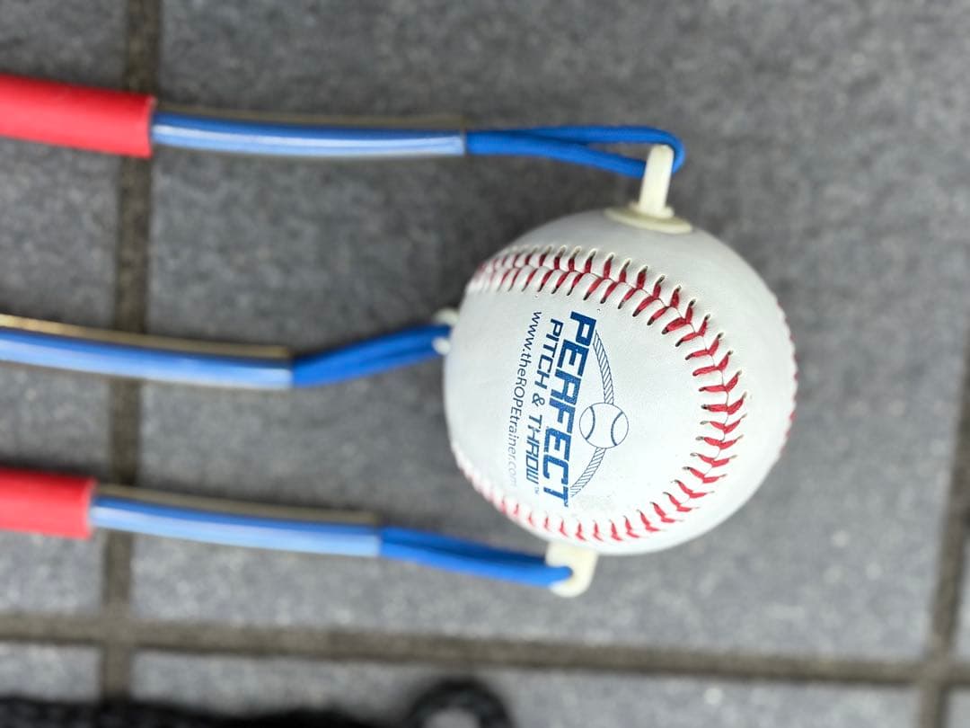 ロープトレーナートリプル　レジースミス　投手 ピッチャー ロープ3本