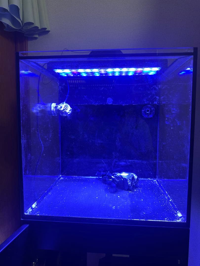 RedSea MAXNANO LED 一式　ライト　クーラー　スキマー　セット