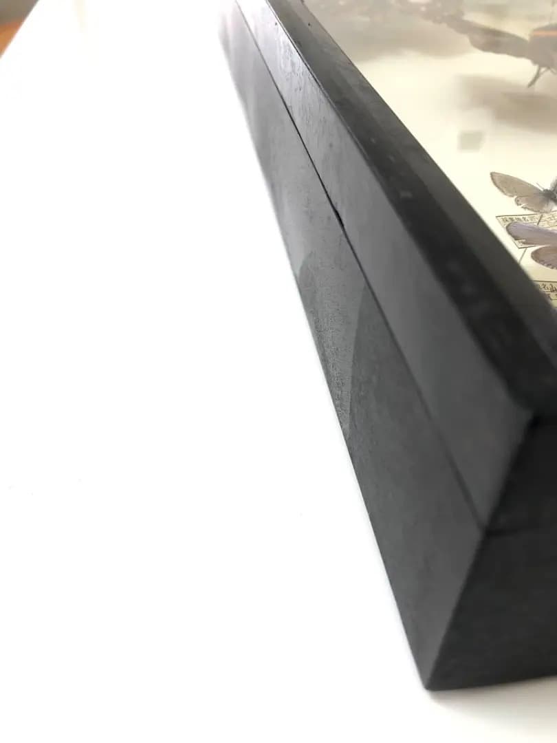 【大型 ドイツ箱・昭和41年印・当時物】蝶 大型 標本 レア 貴重