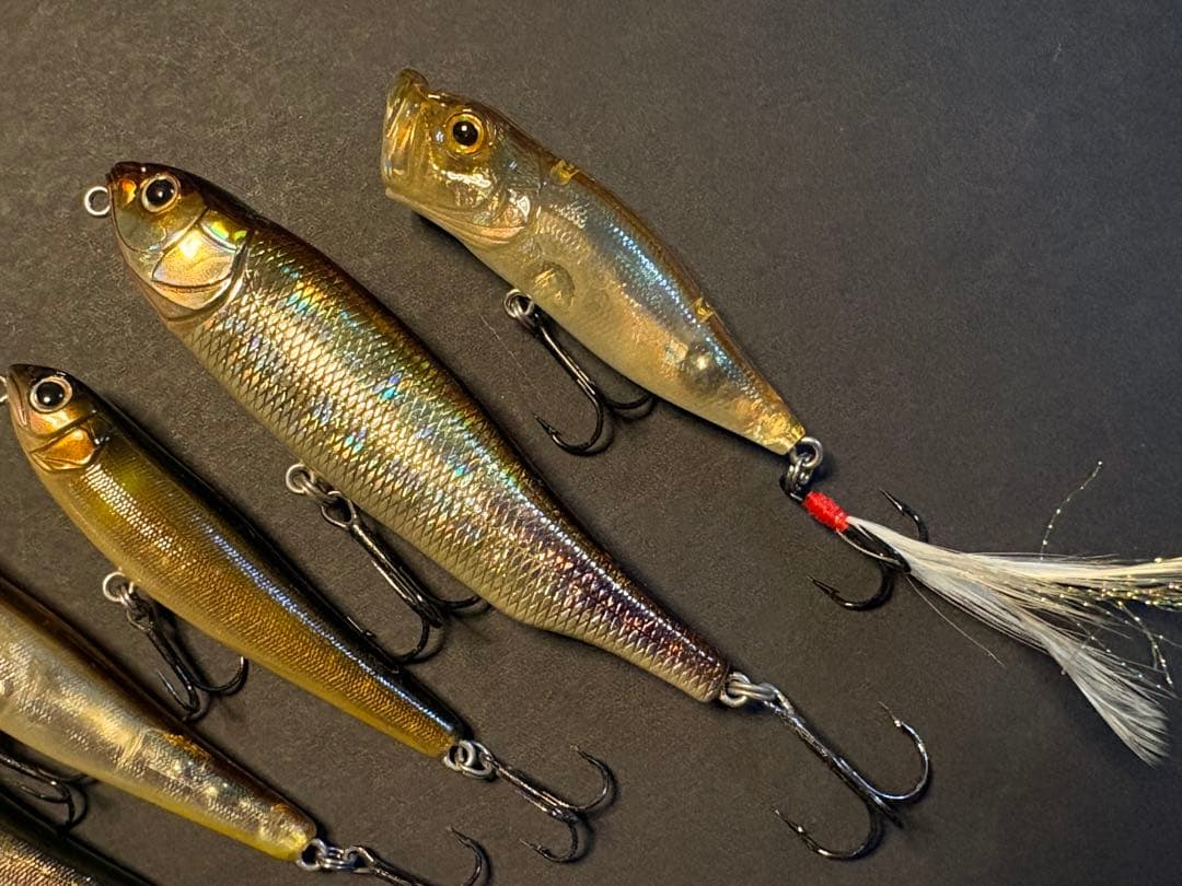 【MEGABASS】COAYU、POP-X など6個セット