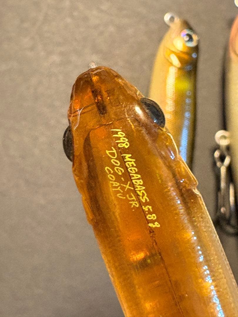 【MEGABASS】COAYU、POP-X など6個セット