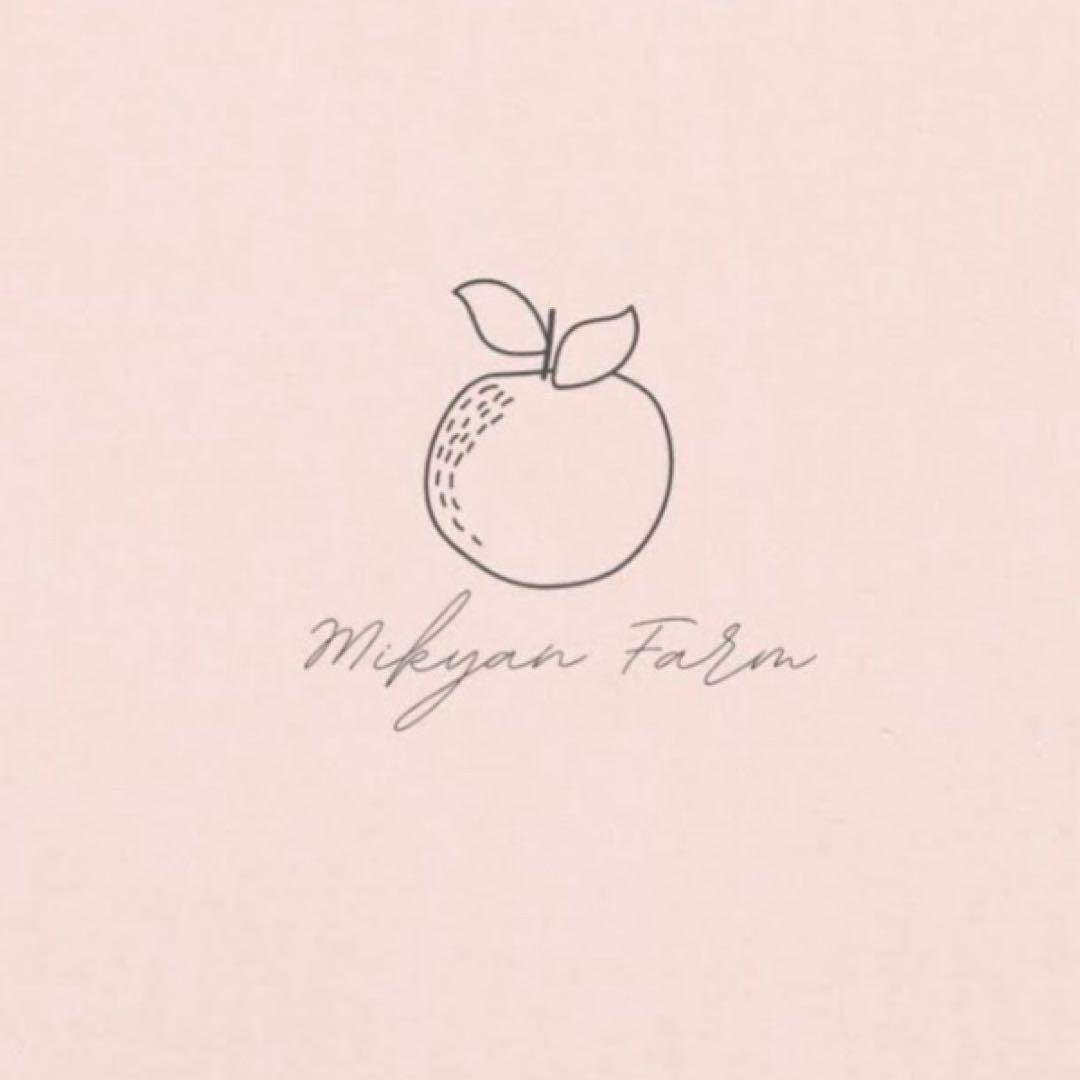 おまとめ割引　媛小春4キロ　甘平8キロ