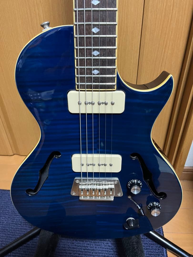 限定出品 レア Epiphone Blueshawk Nighthawk