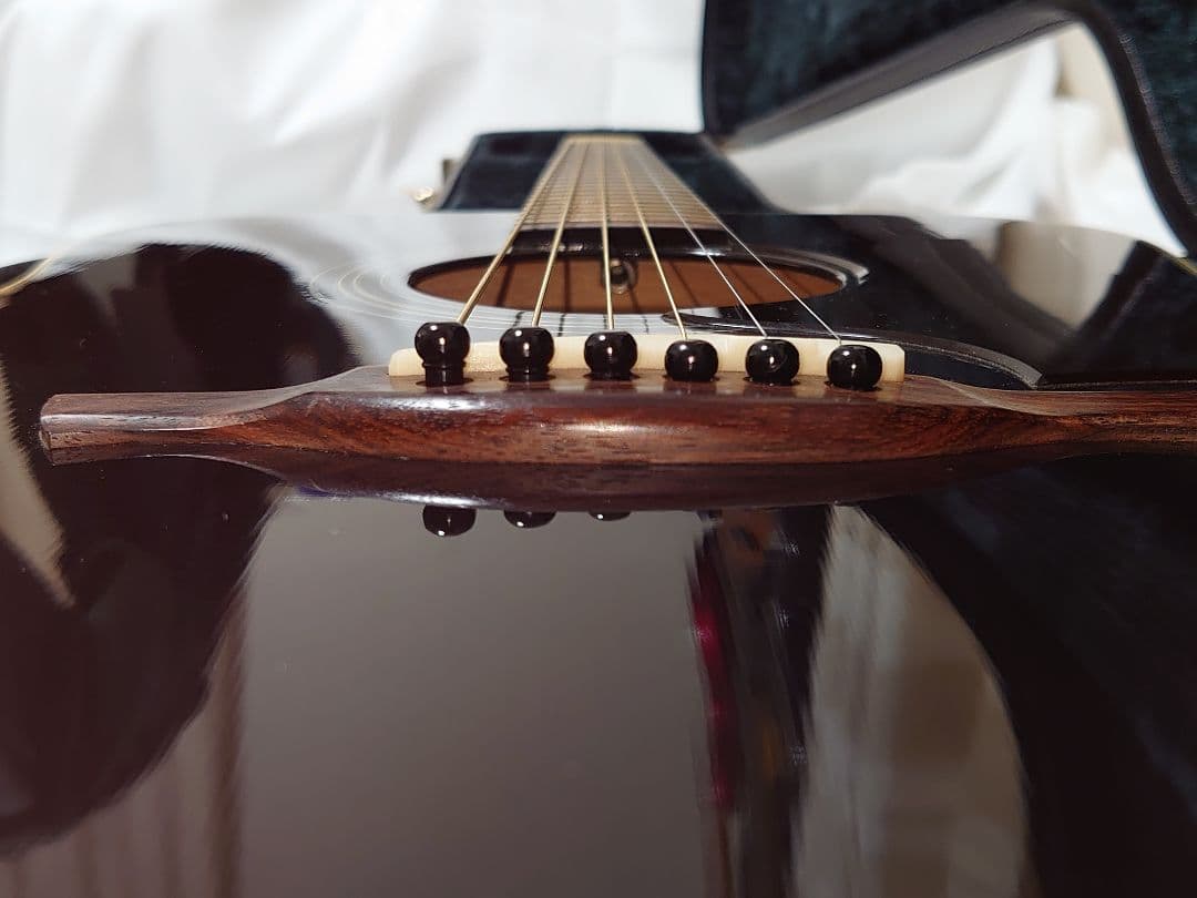 【エレアコ仕様】HISTORY NT-L4 L.R.Baggsピックアップ付