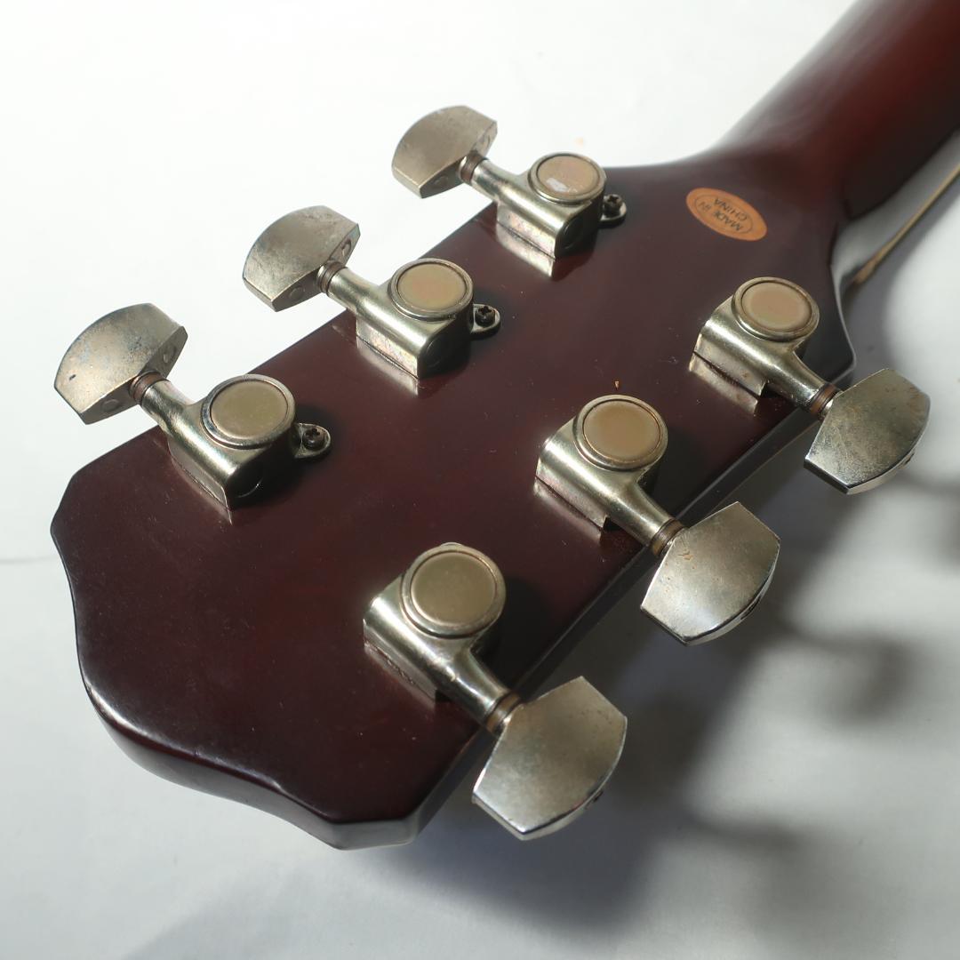 Pro Martin EAW-350 WRS エレアコ ギター ケース付