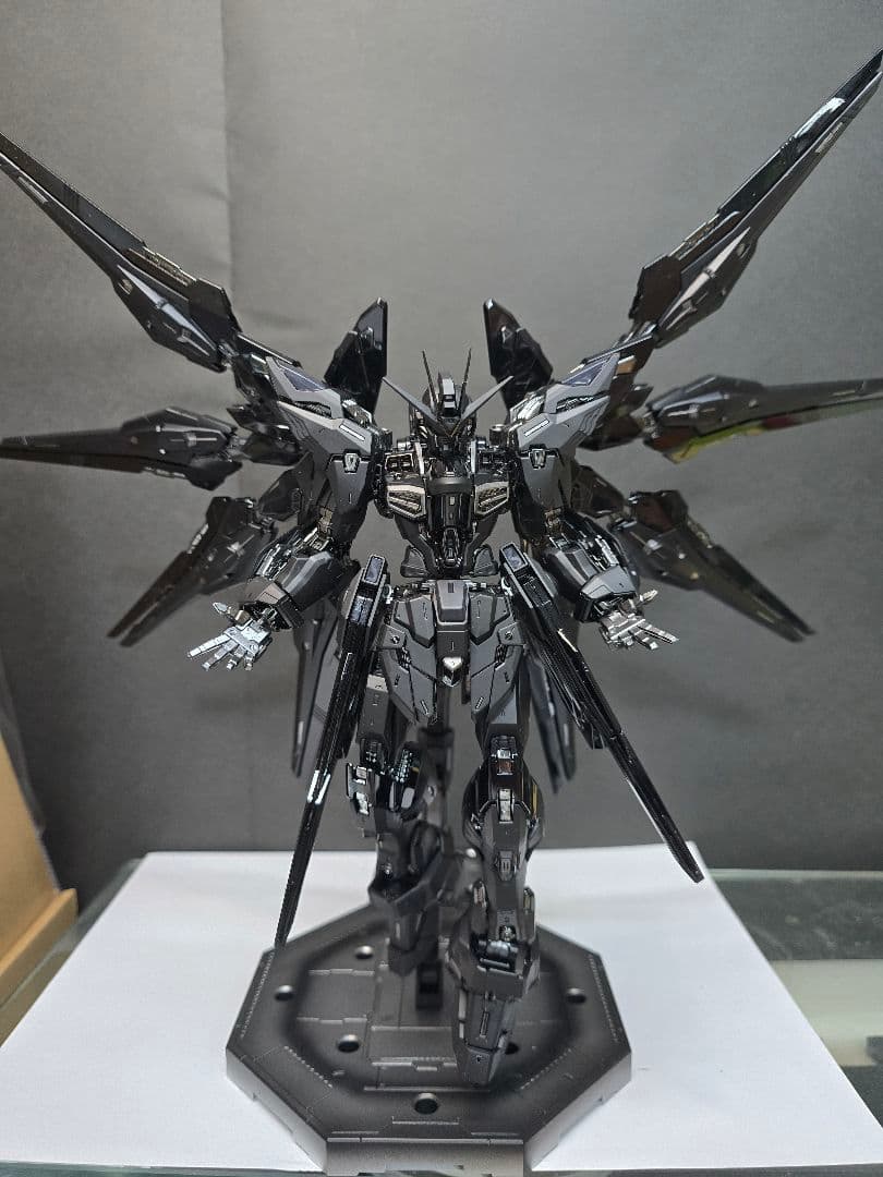 HGCE 1/144 ストライクフリーダム全塗装品　おまけ付き