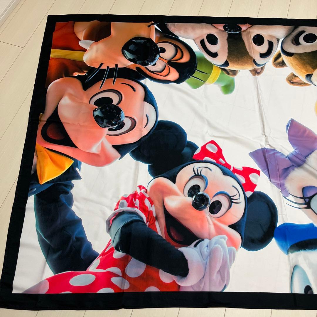 ディズニー　実写　タペストリー　imagining the magic