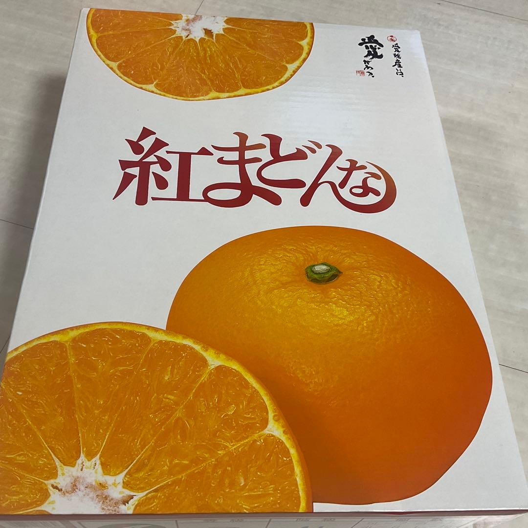 愛媛県産 紅マドンナ 高級フルーツ みかん 紅まどんな。