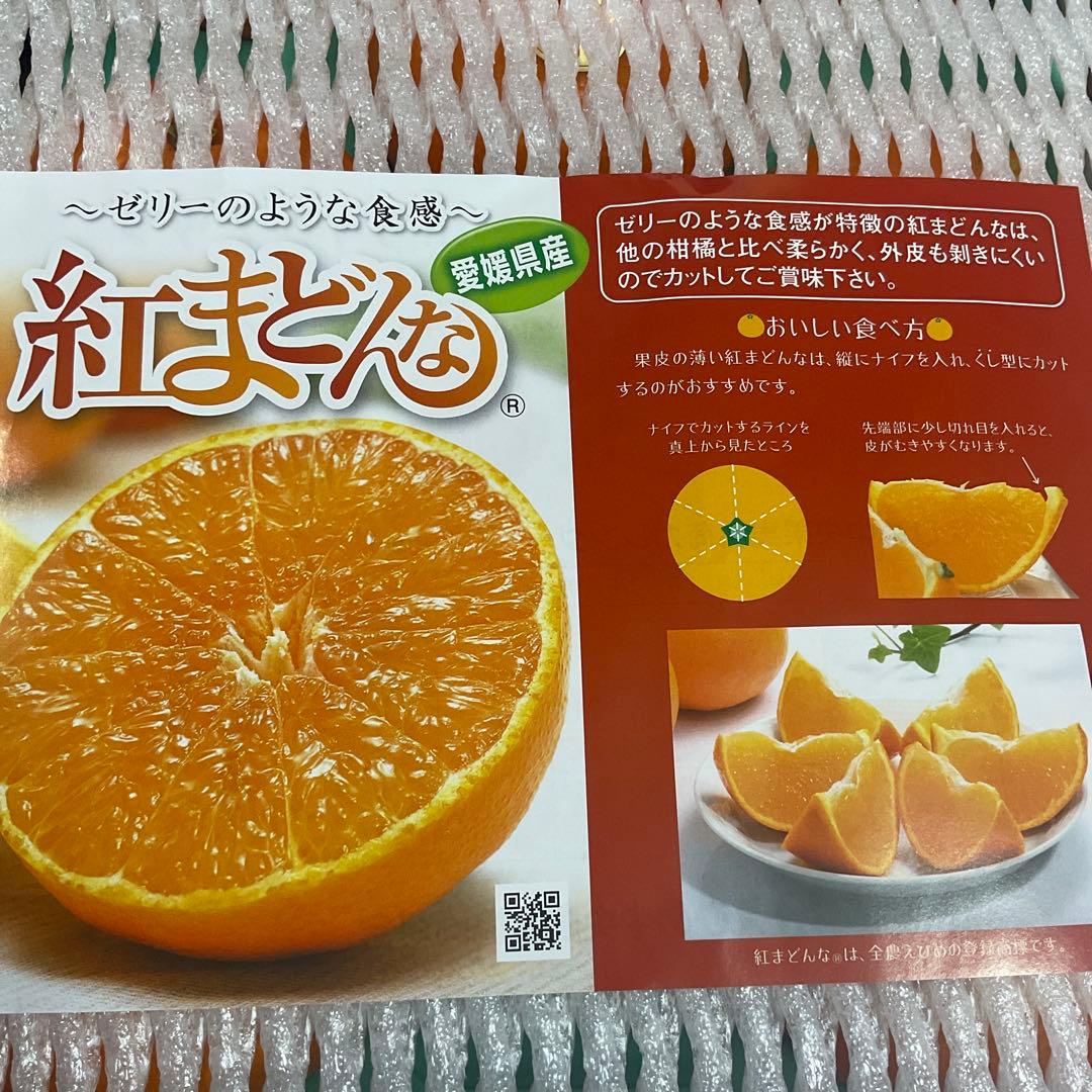 愛媛県産 紅マドンナ 高級フルーツ みかん 紅まどんな。