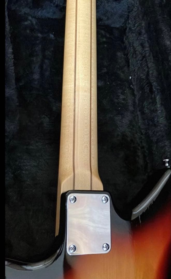 ぽーさん様　dragonfly jaguar666 最終出品　1/25まで