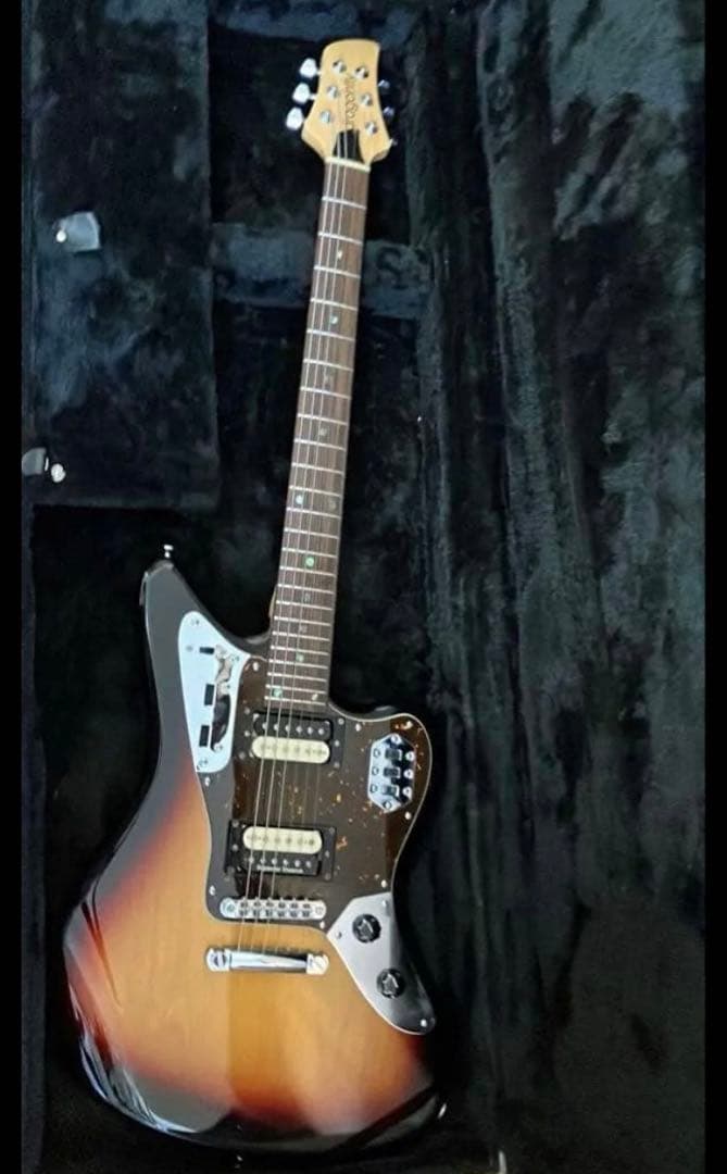 ぽーさん様　dragonfly jaguar666 最終出品　1/25まで