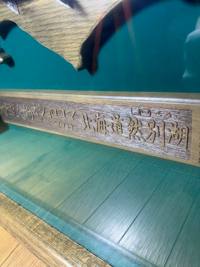 オショロコマ 剥製 重量物 高級 額縁 木製