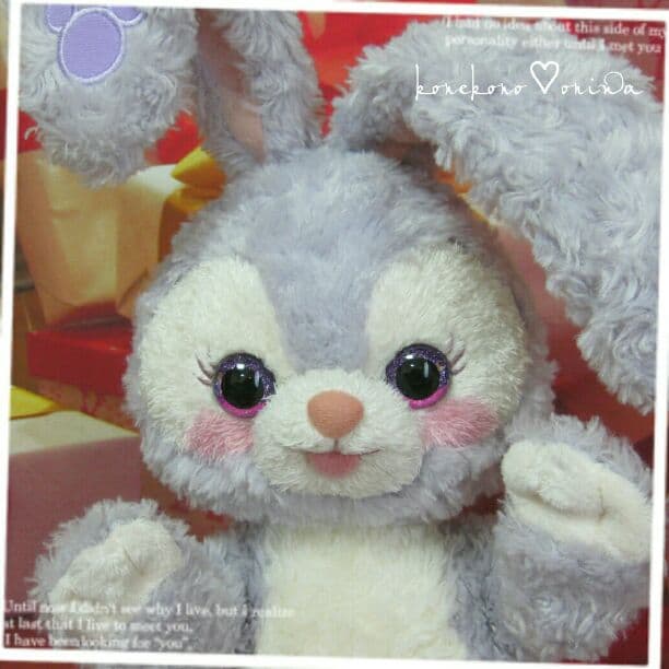 ポチオ様♡確認page☆ステラルー