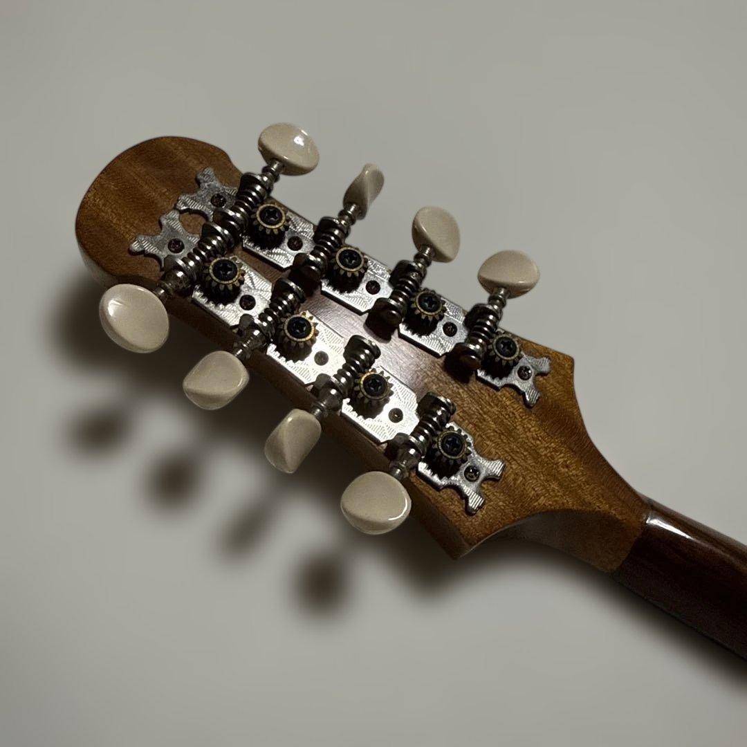 落合忠男 マンドリン M1 落合マンドリン