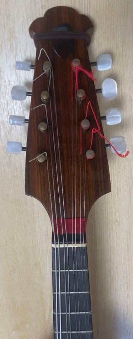 お値下げ中　カラーチェCalace マンドリン　クラシコBClassicoB