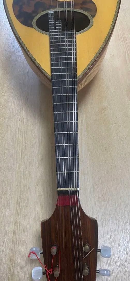 お値下げ中　カラーチェCalace マンドリン　クラシコBClassicoB