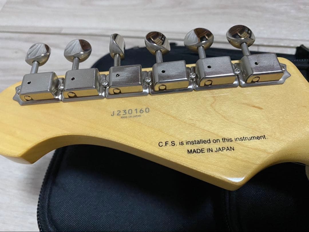 ギター FUJIGEN(FGN) NST-100RAL OLP