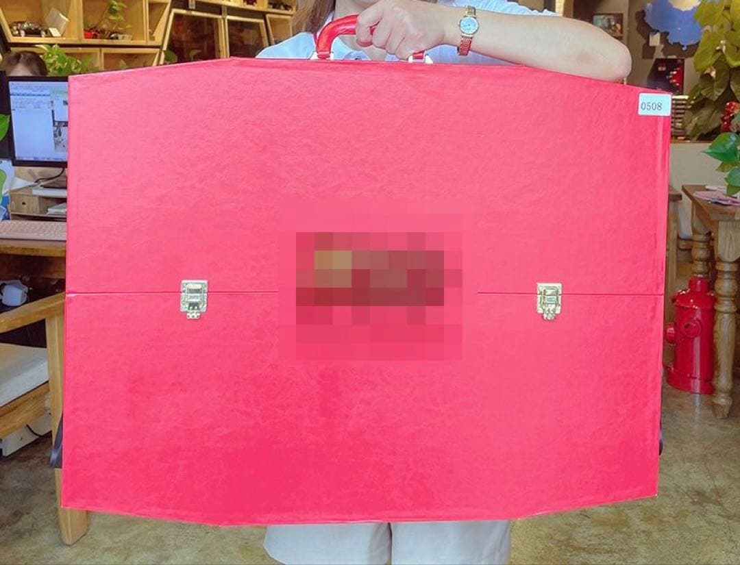 1/24 紅旗 検閲車 5台セット 高級レザーケース入り 合金製モデル