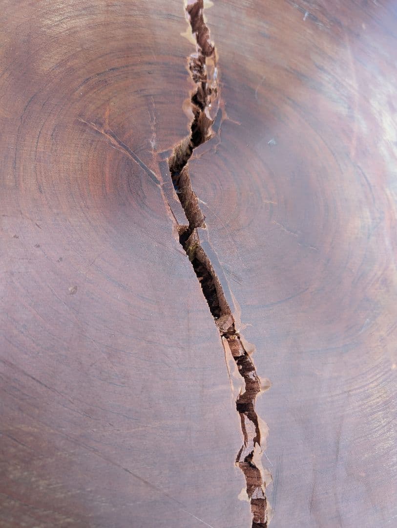 【天然木】 無垢 一枚板 輪切り 座卓 直径約115cm 厚さ5.5cm 重厚