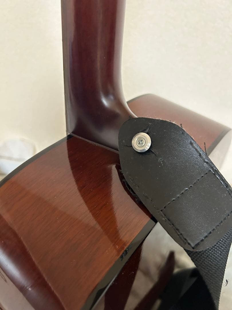 Morris W-15 アコースティックギター