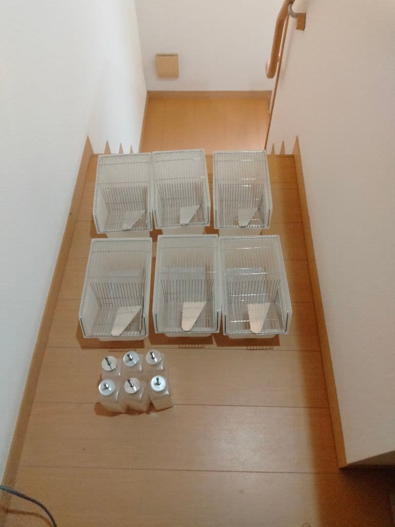 未使用マウス飼育ケージ　小　6台