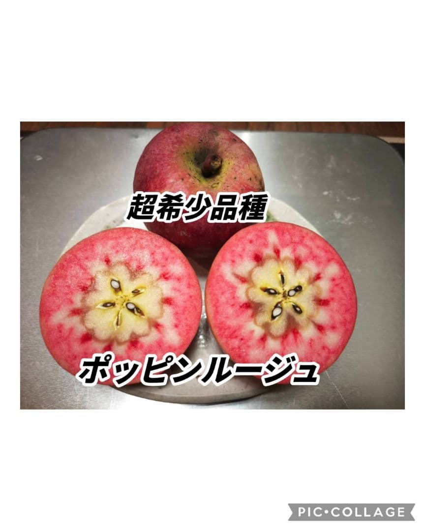 激レアりんご☆選択可【ムーンルージュ他数品種から8個】＋フジ/あいかの香り2キロ