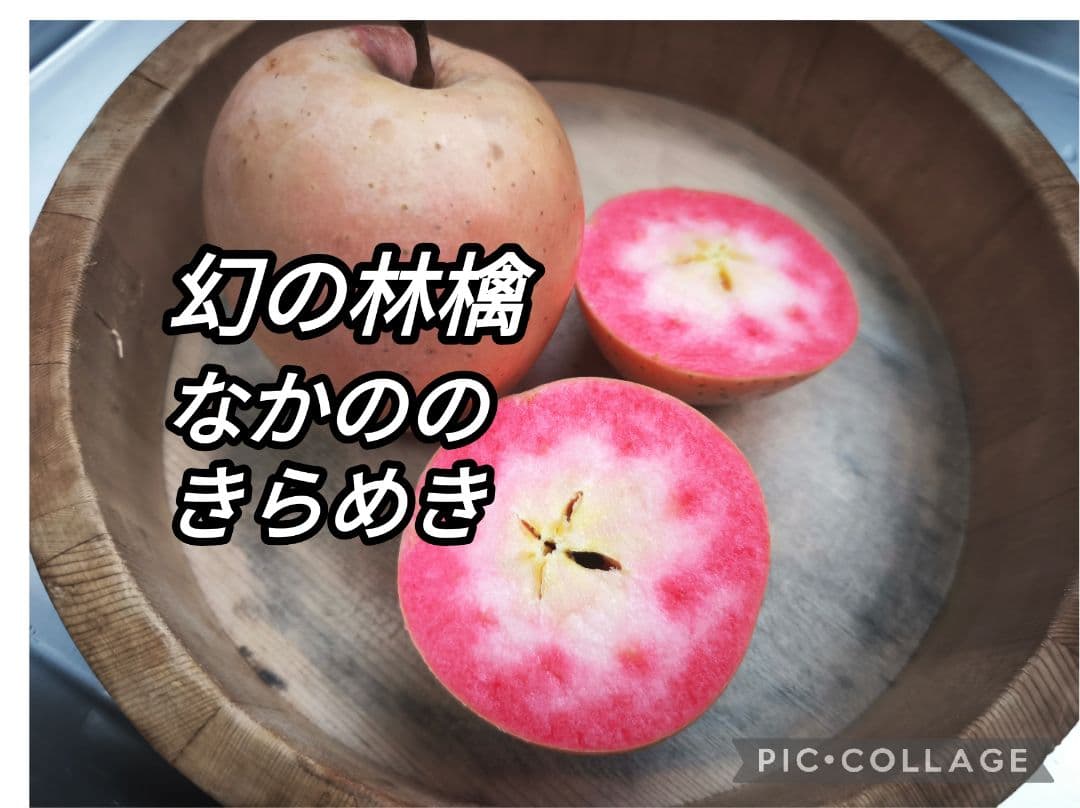 激レアりんご☆選択可【ムーンルージュ他数品種から8個】＋フジ/あいかの香り2キロ