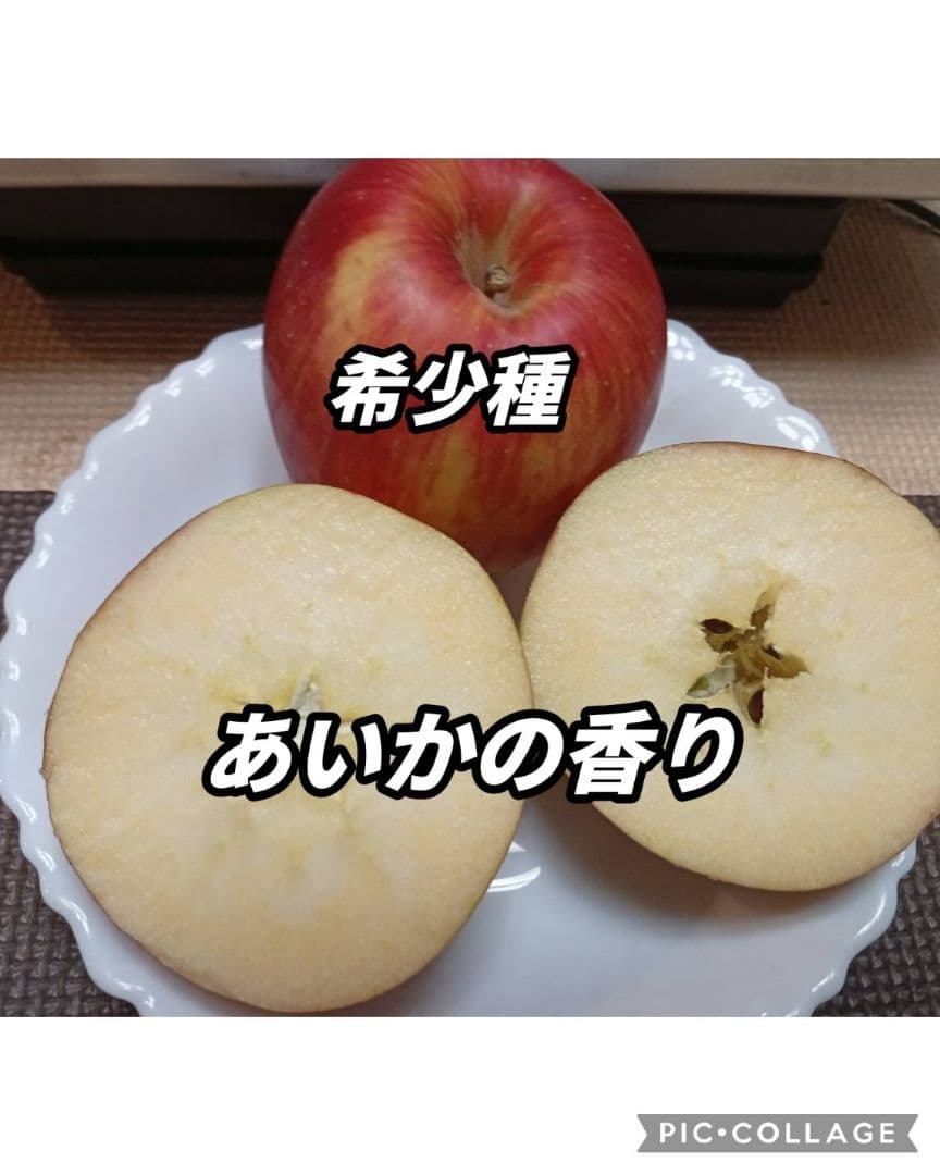 激レアりんご☆選択可【ムーンルージュ他数品種から8個】＋フジ/あいかの香り2キロ